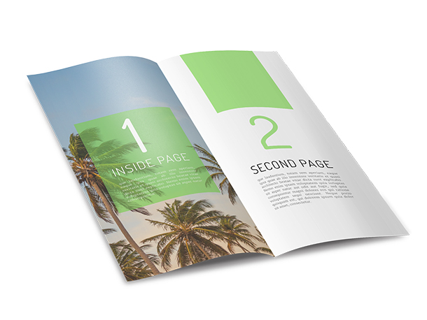 What types of brochure are the most popular bi-fold