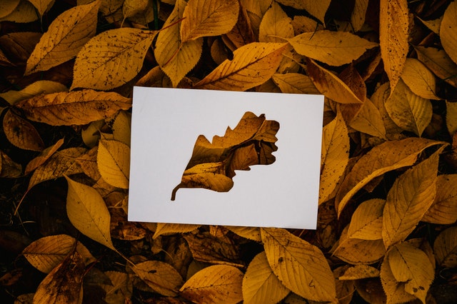 clever, complex and cuto cutouts for business cards